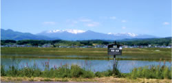 田園風景