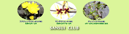 SANSUI CLUB