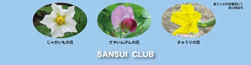 SANSUI CLUB