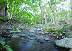 せせらぎ「小川が流れ蛍が生息するほどの清らかさ」